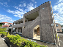 ゼン・アムールの画像