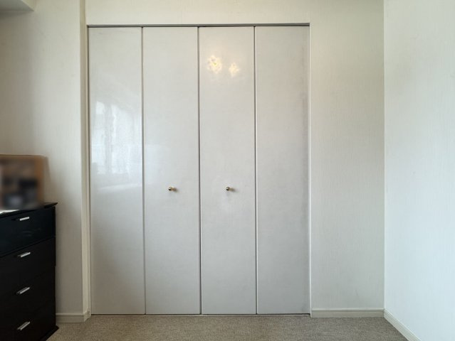 ワコーレアーバンフラッツ三宮東の収納