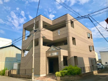 アンジェラの画像