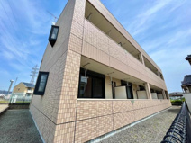 ピアチェーレの画像