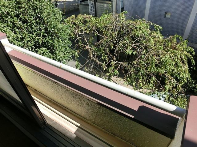 中野区中央４丁目のアパートの展望