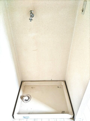 【その他】スプルース・杉田