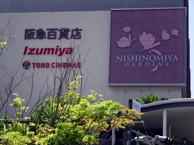 キングガーデンの周辺