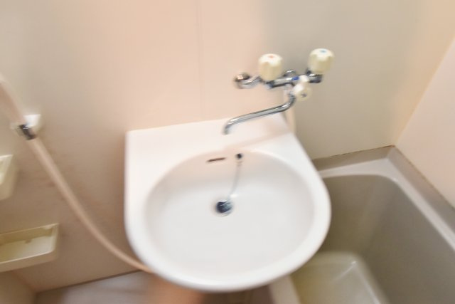 キングガーデンの洗面所