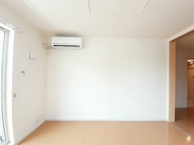 プラシードⅡのその他