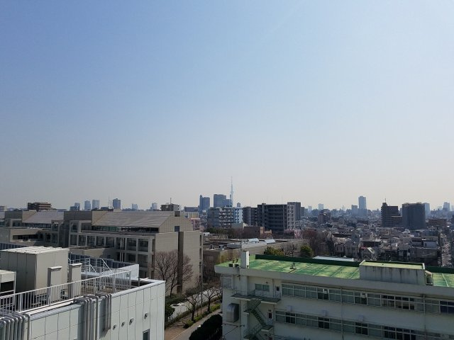 グランシエロ イーストマークスの展望|バルコニーからの眺望スカイツリーを望む