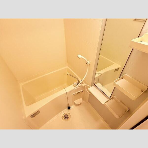 スカイルーム南条の浴室