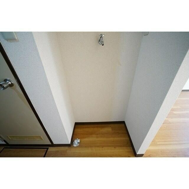 ドミール・マグノリアのその他