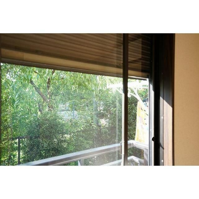 ドミール・マグノリア