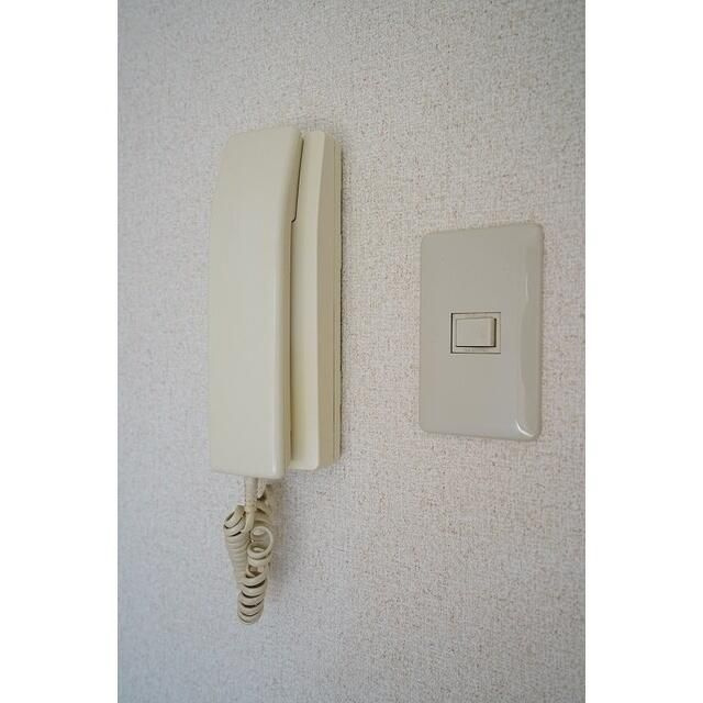 ドミール・マグノリア