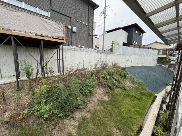 トヨナカシシバハラコダテのその他