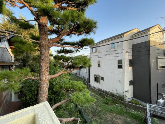 川崎市多摩区菅野戸呂の賃貸マンションの展望