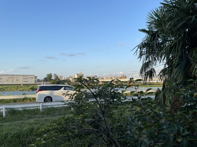 川崎市多摩区菅野戸呂の賃貸マンションの展望