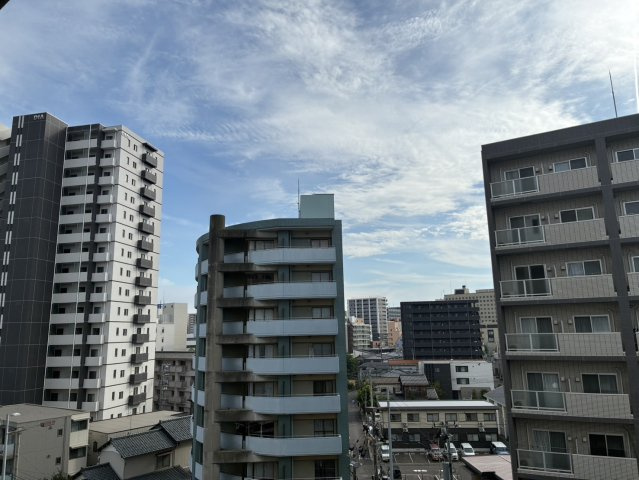 ダイアパレス笹口3丁目の展望