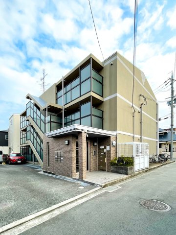 ＡＸＩＳ　Ｍ＆Ｓ