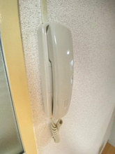 【セキュリティ】