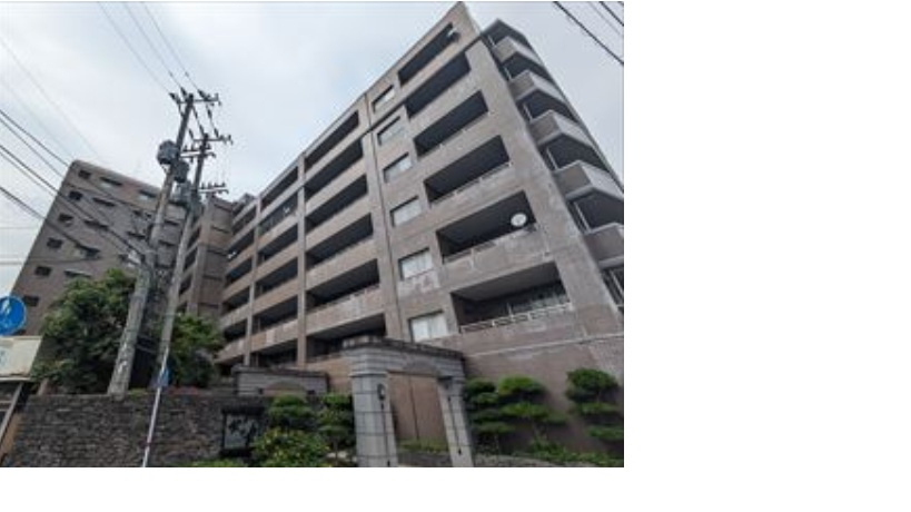 八代市新地町コアマンションネクステージ北の丸の外観