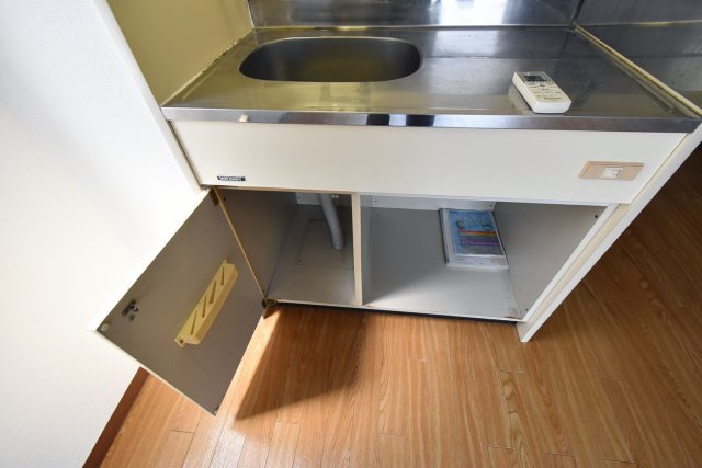 ダイドーメゾン甲子園口Ⅱのキッチン