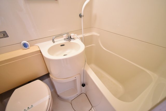 ダイドーメゾン甲子園口Ⅱの洗面所