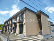 アムール琴の画像