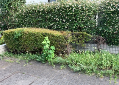 【庭】 | バルール町田 | 物件によっては、入居者が個人的に使用できる専用庭がついているものもあります。また、住宅の中にある土間の部分を庭と呼ぶこともあります。庭の用途は住む人によって変わり、それによってデザインもさまざまです。