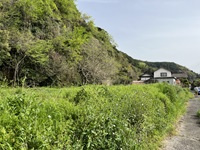 鳥取市鹿野町乙亥正土地