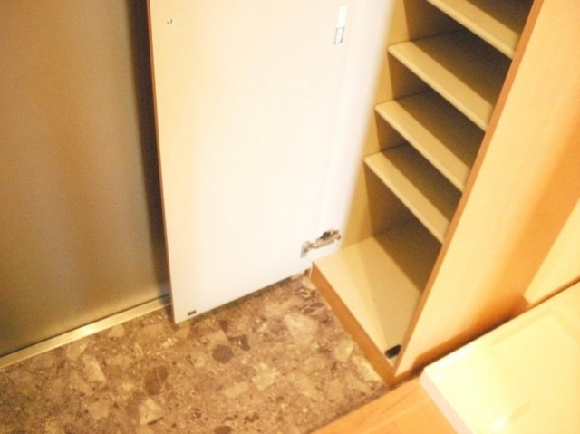 イーストシティタワーズの玄関|別号室の参考写真です。