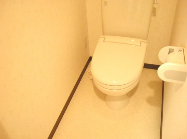 イーストシティタワーズのトイレ|別号室の参考写真です。