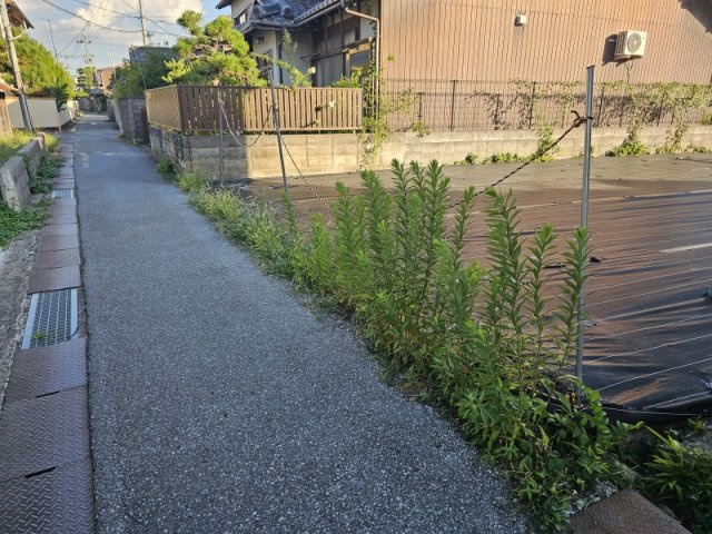 彦根市芹橋２丁目の売地の前面道路含む現地写真