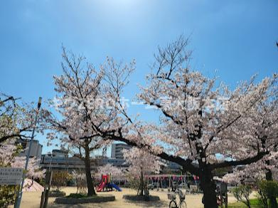 CITY SPIRE桜川Ⅱの周辺