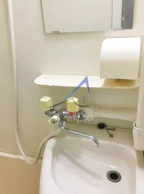 ロイヤルプラザ森下の洗面所|洗面台です。