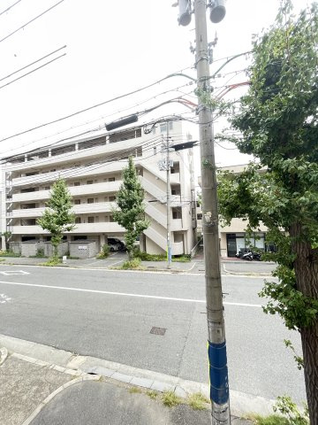 パレグレィス・ヒエダの展望