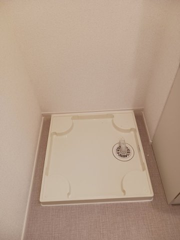 ＳＳ・ＴＲＡＩＬの内装|内装です