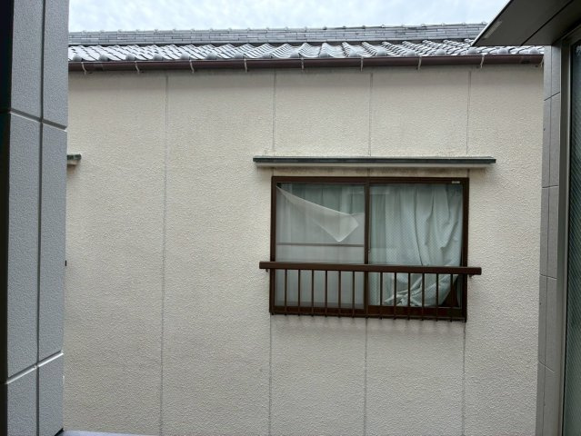 サルースのその他