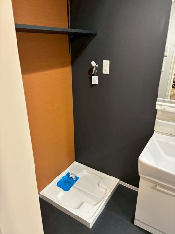 サルースのその他