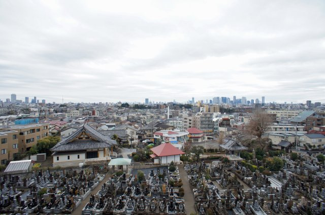 プライムメゾン江古田の杜イーストの展望