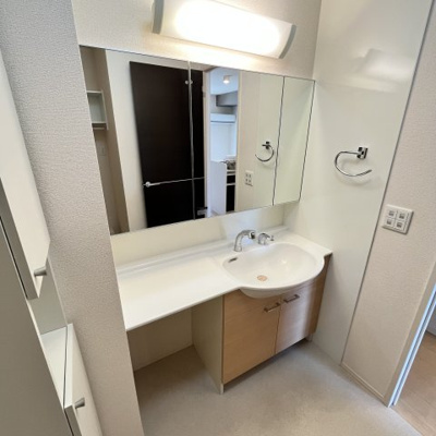 【独立洗面台】 | アムールさわ