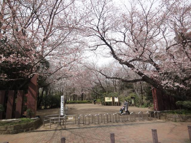 ルーブル井荻の周辺