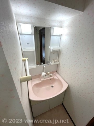 スカイビュウ11の洗面所