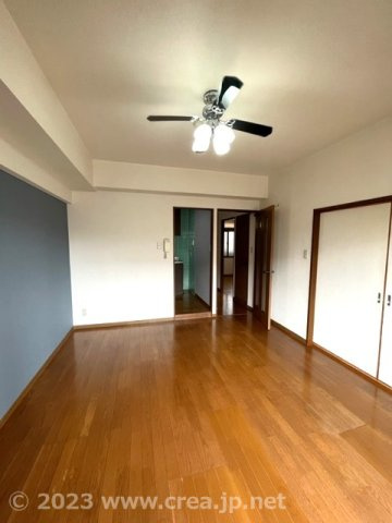 スカイビュウ11の内装