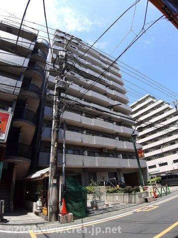 スカイビュウ11のその他