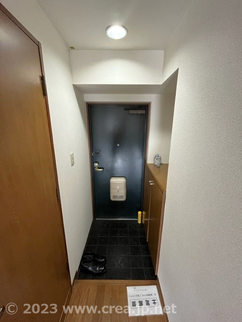 スカイビュウ11の玄関