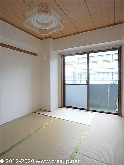 スカイビュウ11のその他