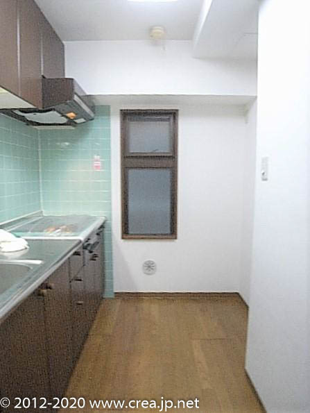 スカイビュウ11のその他