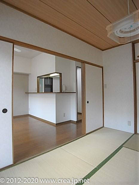 スカイビュウ11のその他