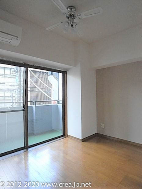 スカイビュウ11のその他