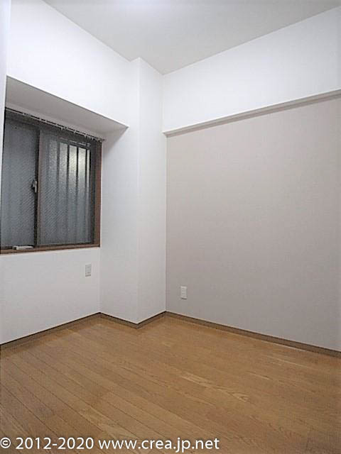 スカイビュウ11のその他