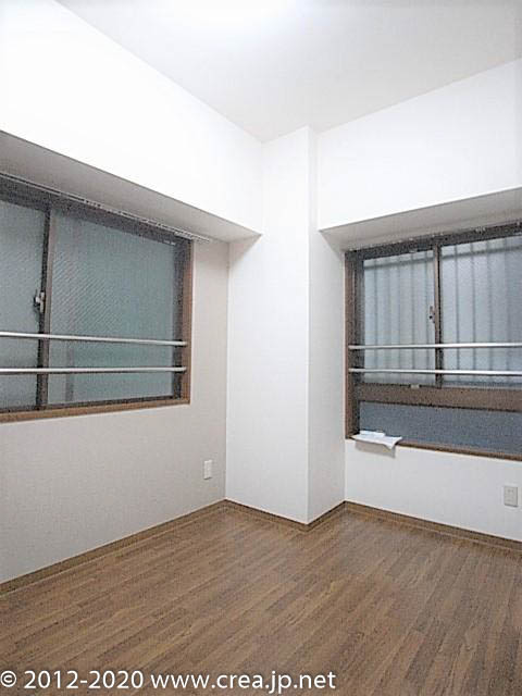 スカイビュウ11のその他