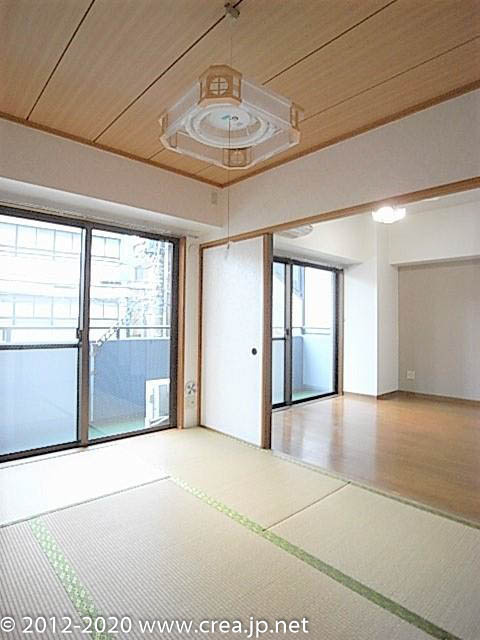 スカイビュウ11のその他