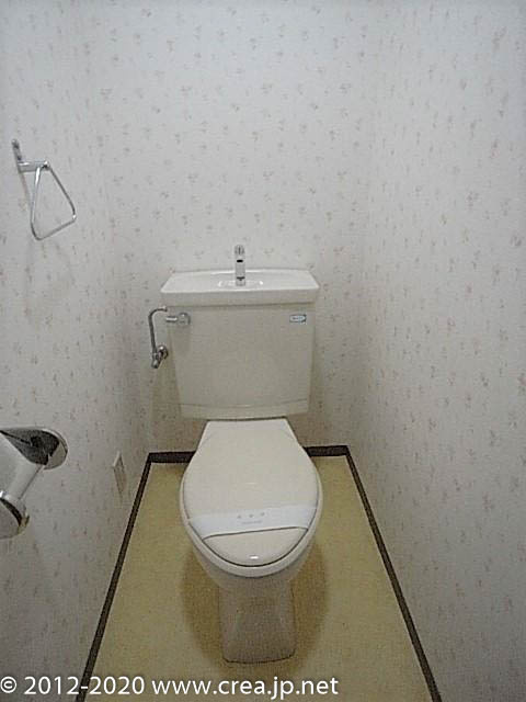 スカイビュウ11のトイレ